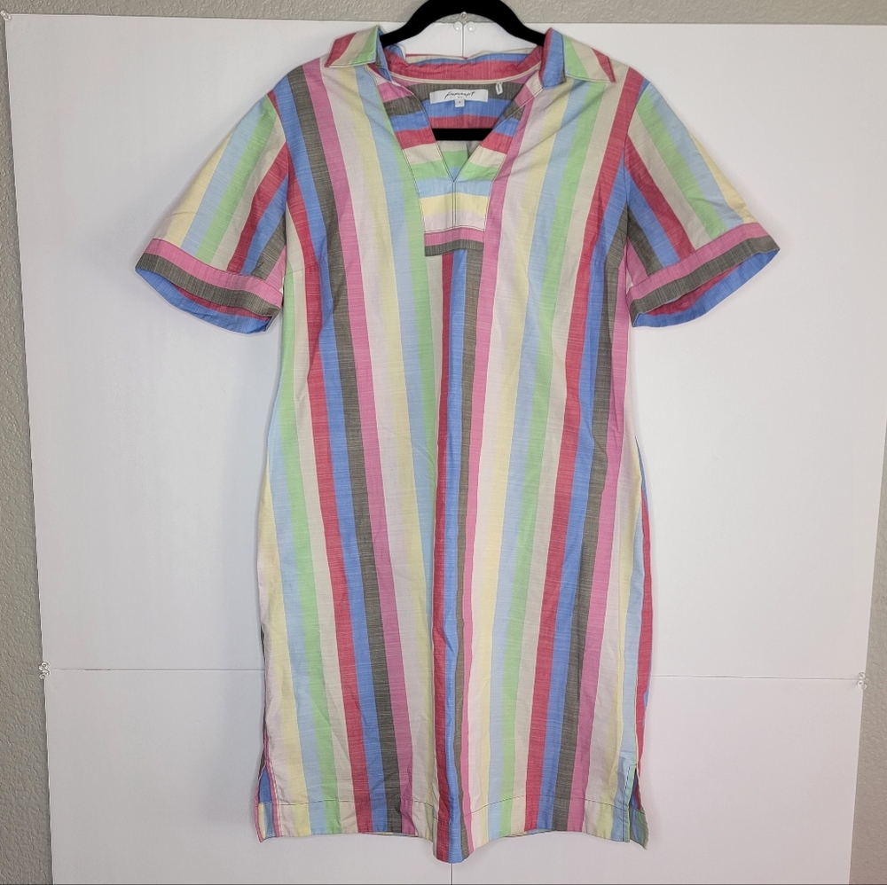 Foxcroft NYC Size 8 Pastel Stripe Shirt Dress Collared Short Sleeve